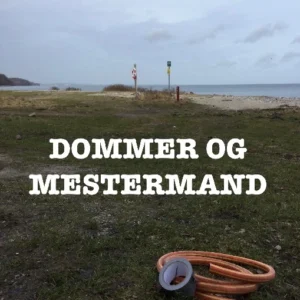 Dommer og mestermand