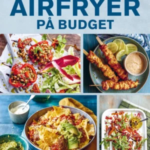 Airfryer på budget