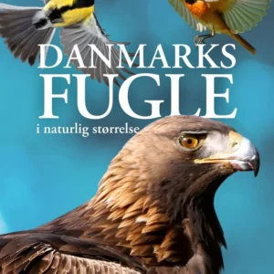 Danmarks fugle i naturlig størrelse