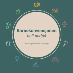 Barnekonvensjonen helt nedpå : enkelt og praktisk for barnehagen