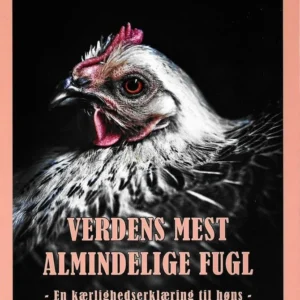 Verdens mest almindelige fugl - en kærlighedserklæring til høns