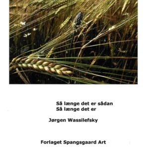 Så længe det er sådan/så længe det er