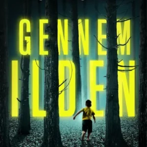 Gennem Ilden