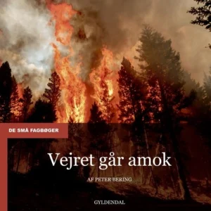 Vejret går amok