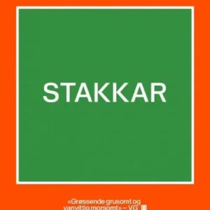Stakkar : roman
