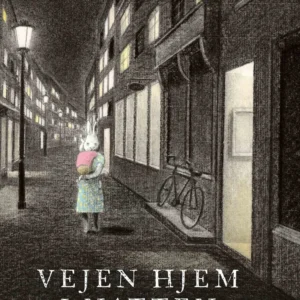 Vejen hjem i natten