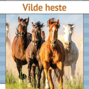 Vilde heste