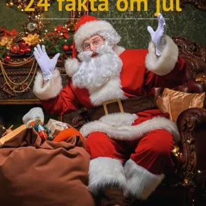 24 fakta om jul