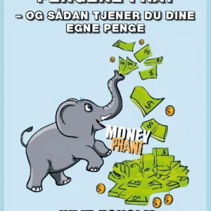Hvor kommer pengene fra?