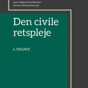 Den civile retspleje