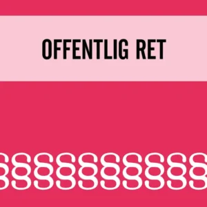 Lovsamling 2024 - Offentlig ret