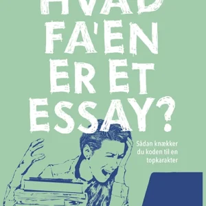 Hvad fa'en er et essay?