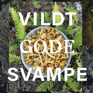 Vildt gode svampe