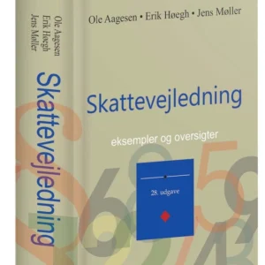 Skattevejledning 2024