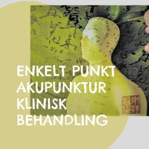 Enkelt Punkt Akupunktur Klinisk Behandling