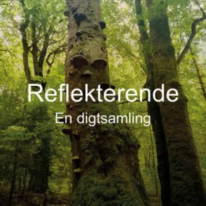 Reflekterende