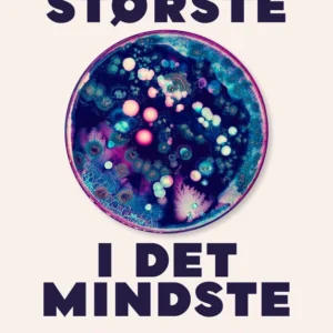 Det største i det mindste