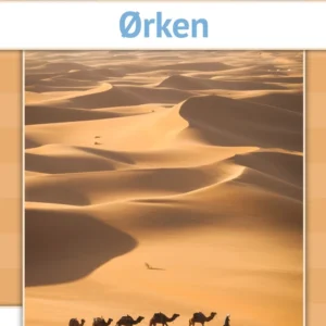Ørken