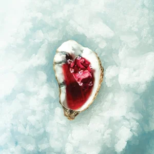 Pink Oyster