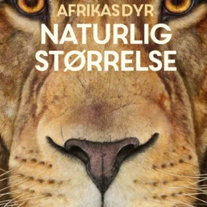 Afrikas dyr - i naturlig størrelse