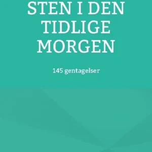 Sten i den tidlige morgen
