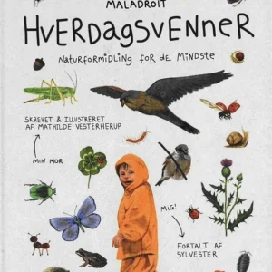 Hverdagsvenner