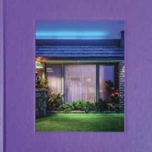 Building Stories