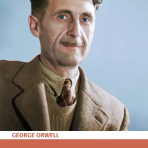 Litteraturkritiske essays