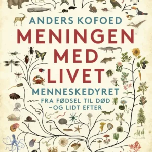 Meningen med livet