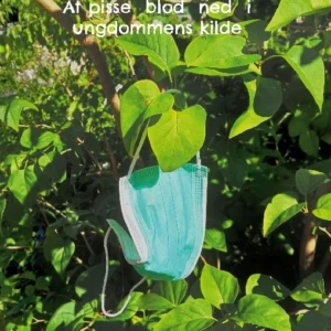 At pisse blod ned i ungdommens kilde