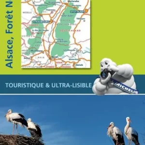 Black Forest, Alsace, Rhine Valley, Michelin Zoom 131