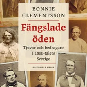 Fängslade öden : tjuvar och bedragare i 1800-talets Sverige