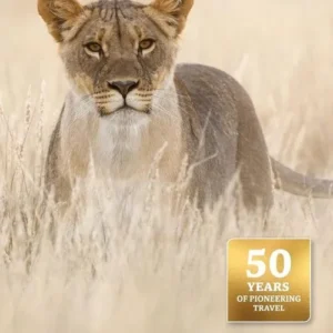 East African Wildlife, Bradt Travel Guide