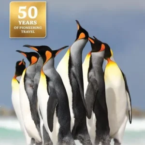 Falkland Islands, Bradt Travel Guide