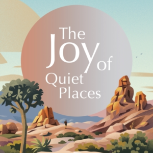 The Joy of Quiet Plances