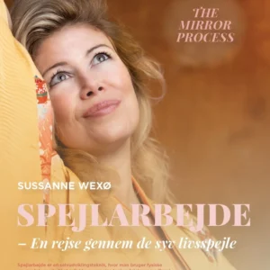 Spejlarbejde - en rejse gennem de syv livsspejle
