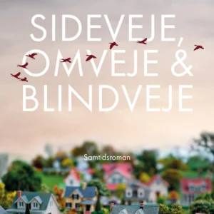 Sideveje, omveje & blindveje