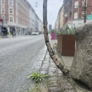 You can never hold back spring