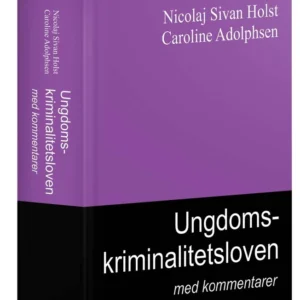 Ungdomskriminalitetsloven med kommentarer