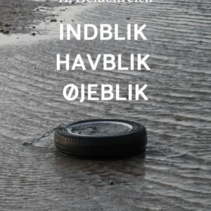 Indblik Havblik Øjeblik