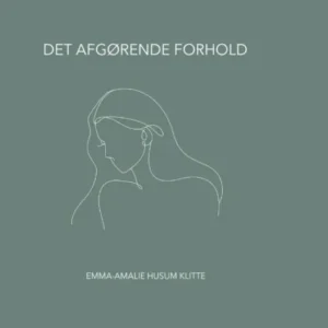 Det afgørende forhold