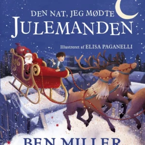 Den nat, jeg mødte julemanden