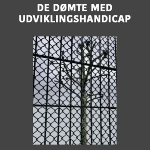 De dømte med udviklingshandicap