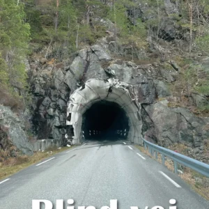 Blind vej