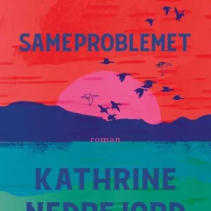 Sameproblemet : roman