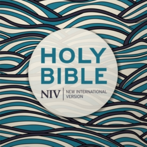 Niv Holy Bible Hodder Classics Waves