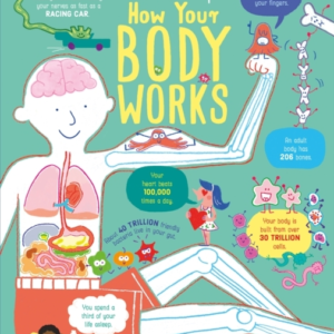 Lift-The-Flap How Your Body Works