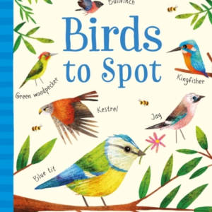 Birds To Spot