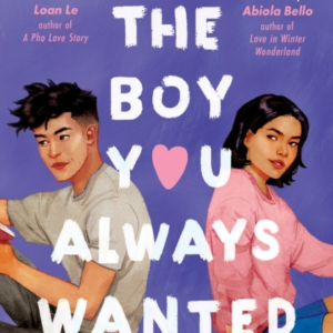 The Boy You Always Wanted