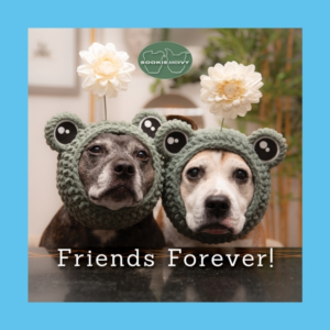 Sookie And Ivy Friends Forever
